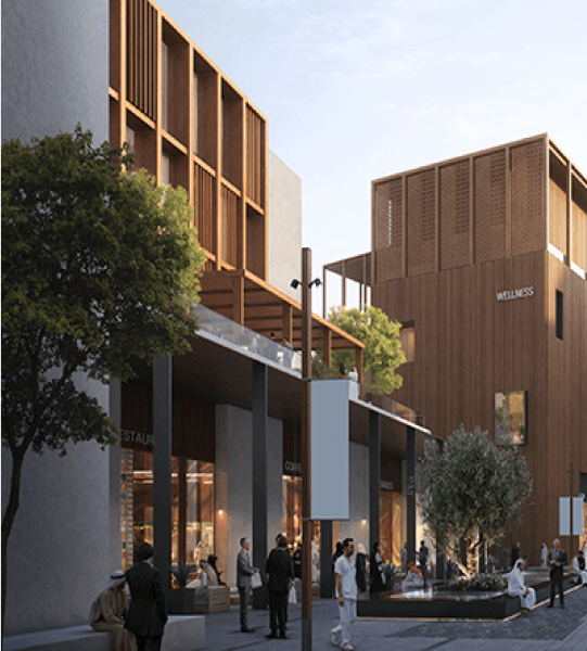 WELLNESS DISTRICT